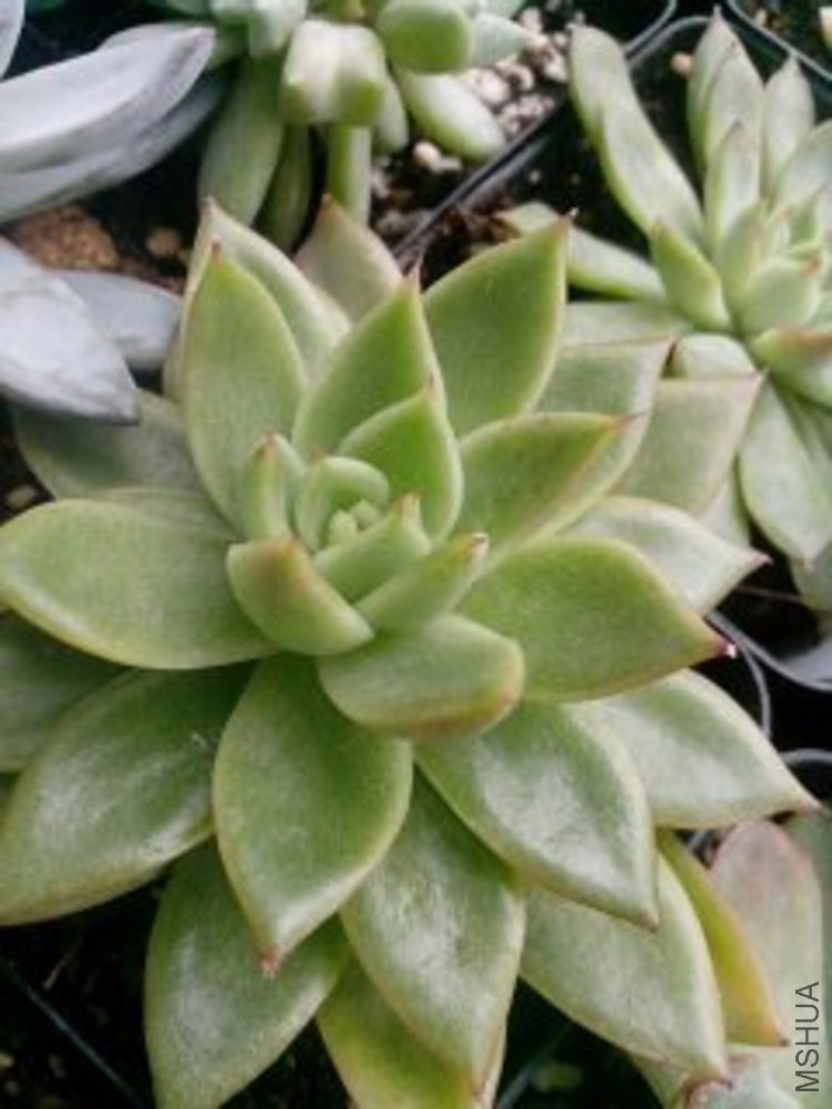 1416629561867_conew1.jpg