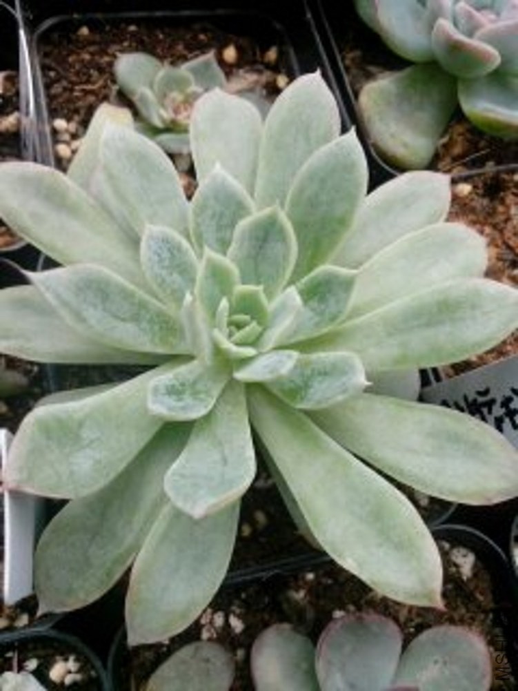 1416629604804_conew1.jpg