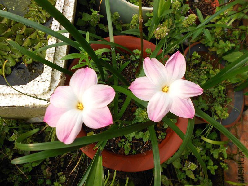 DSCN5399_����.jpg