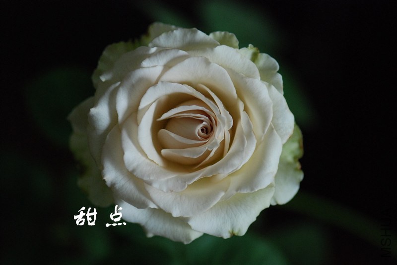 217_����.jpg