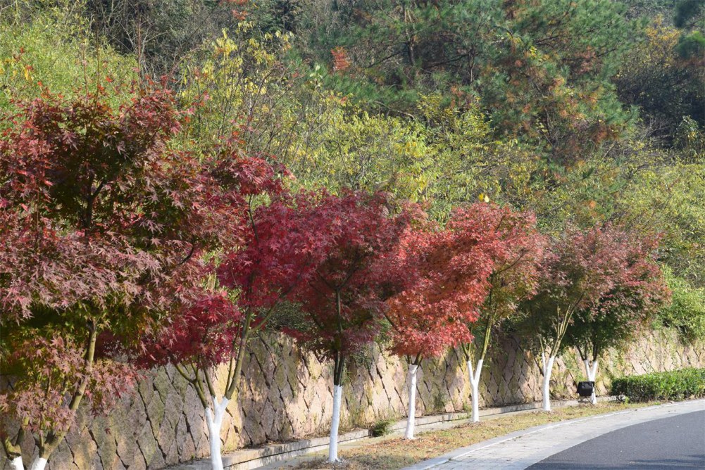 2014����ɽ 016.JPG