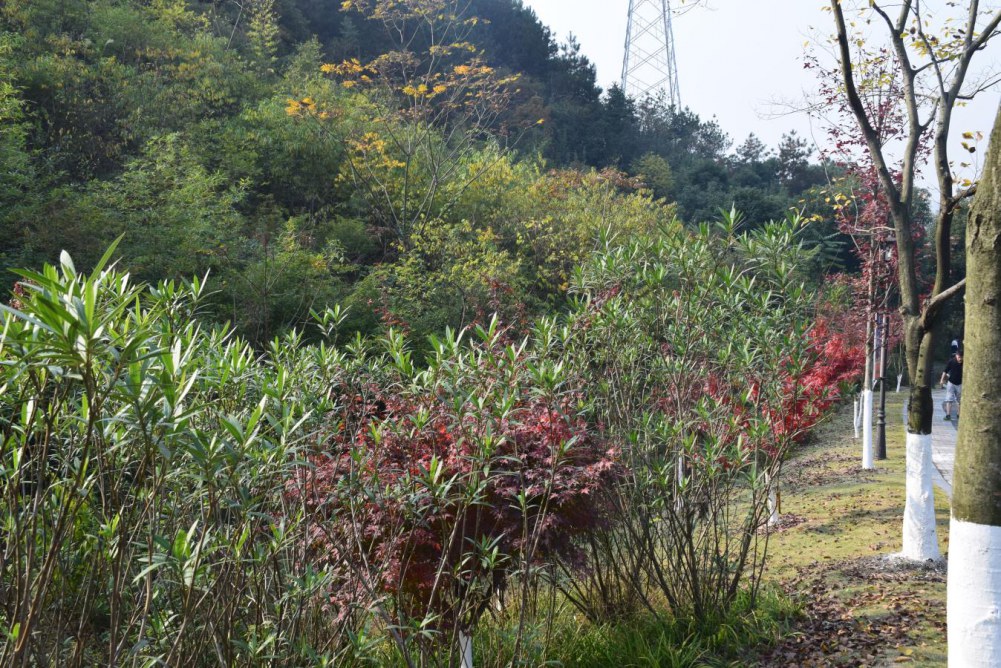 2014����ɽ 024.JPG