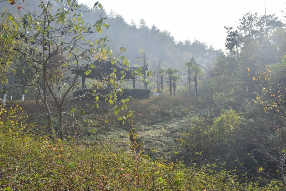 2014����ɽ 025.JPG