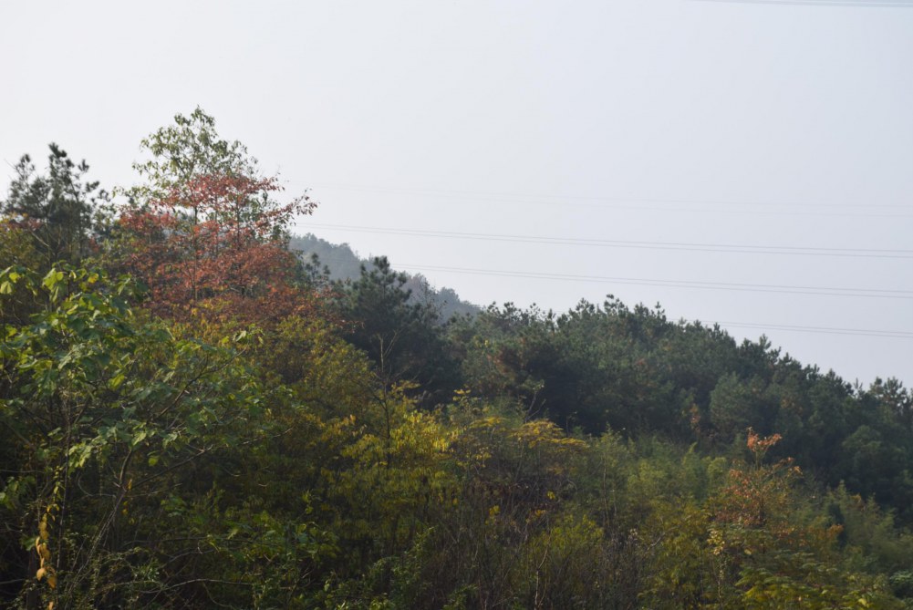 2014����ɽ 027.JPG