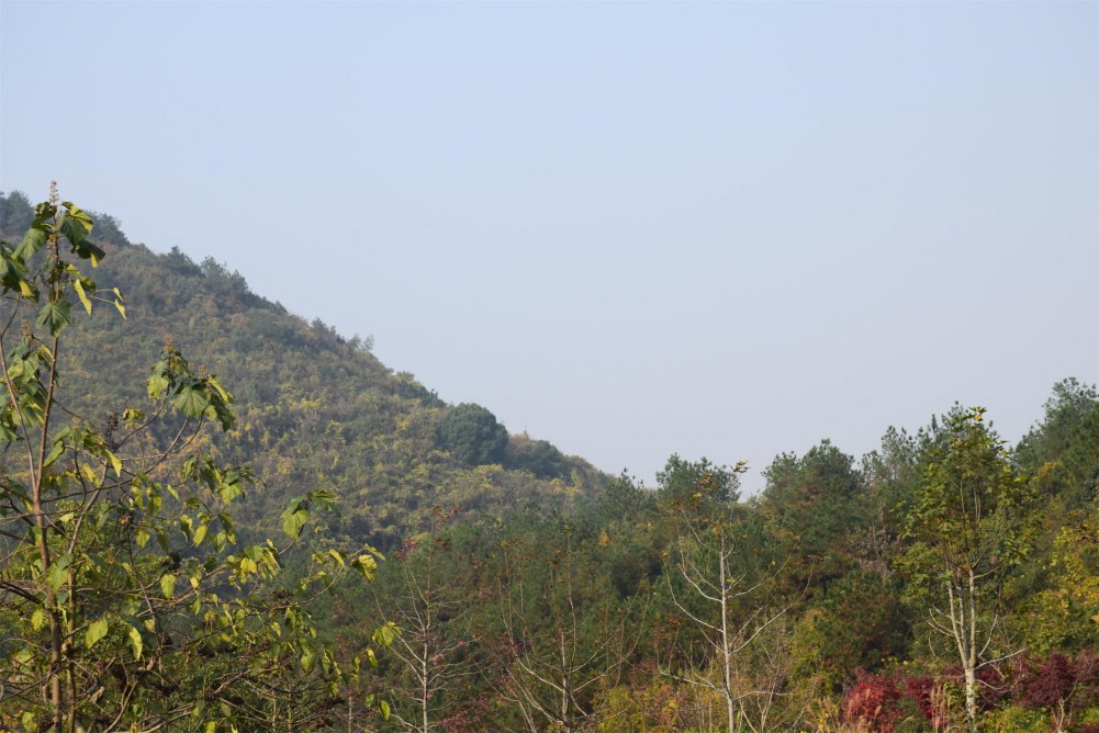 2014����ɽ 028.JPG