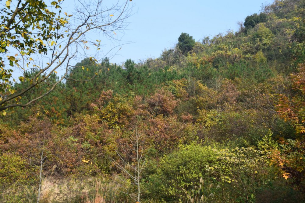 2014����ɽ 030.JPG