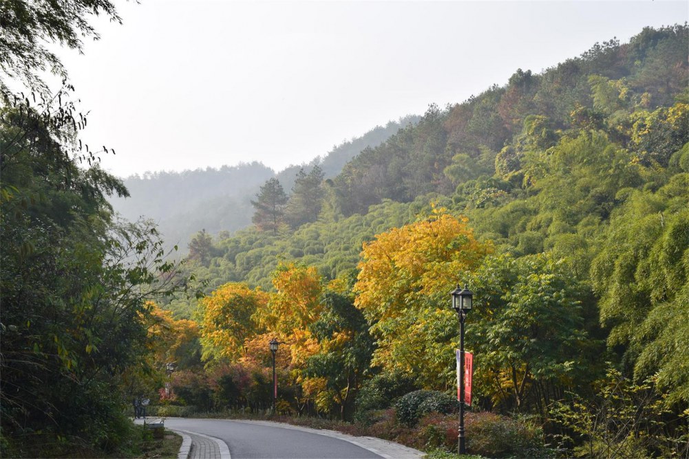 2014����ɽ 033.JPG