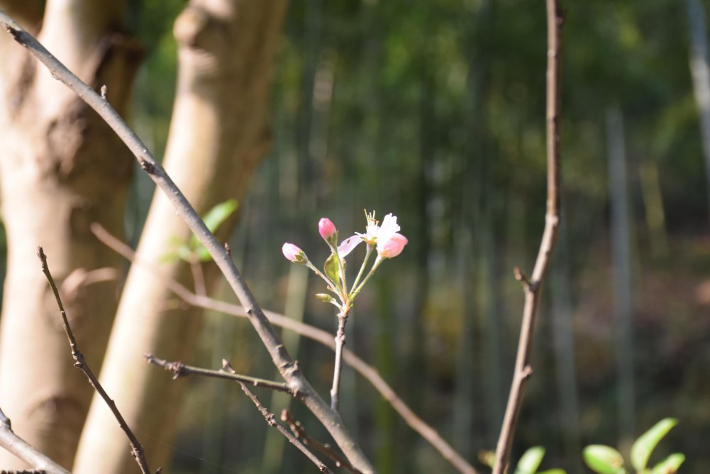 2014����ɽ 035.JPG