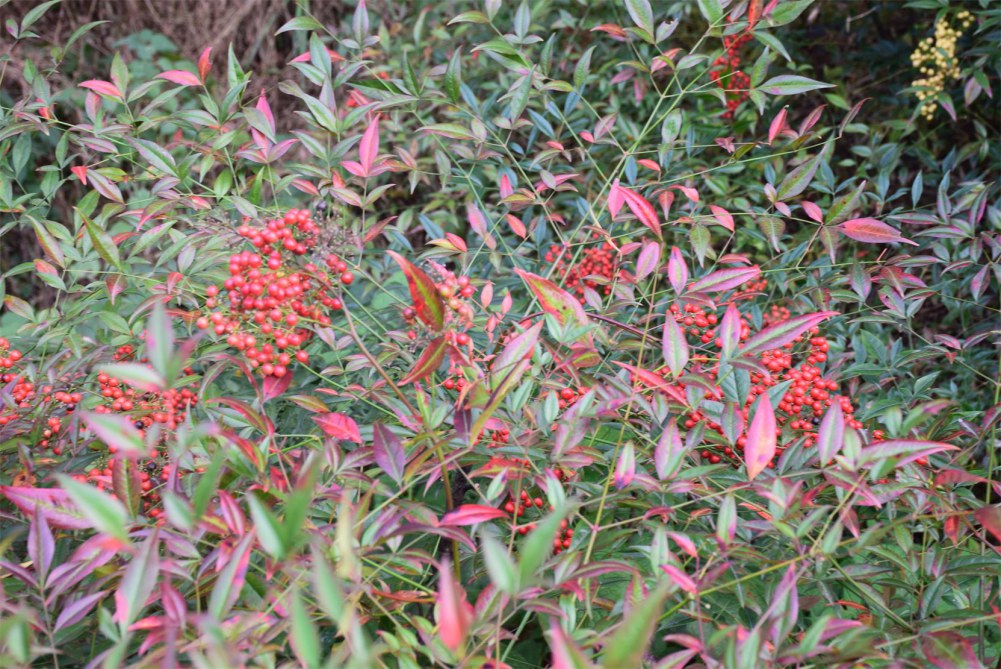 2014����ɽ 038.JPG