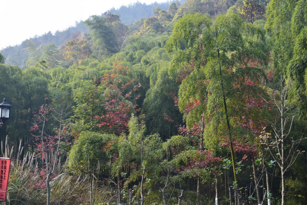 2014����ɽ 039.JPG