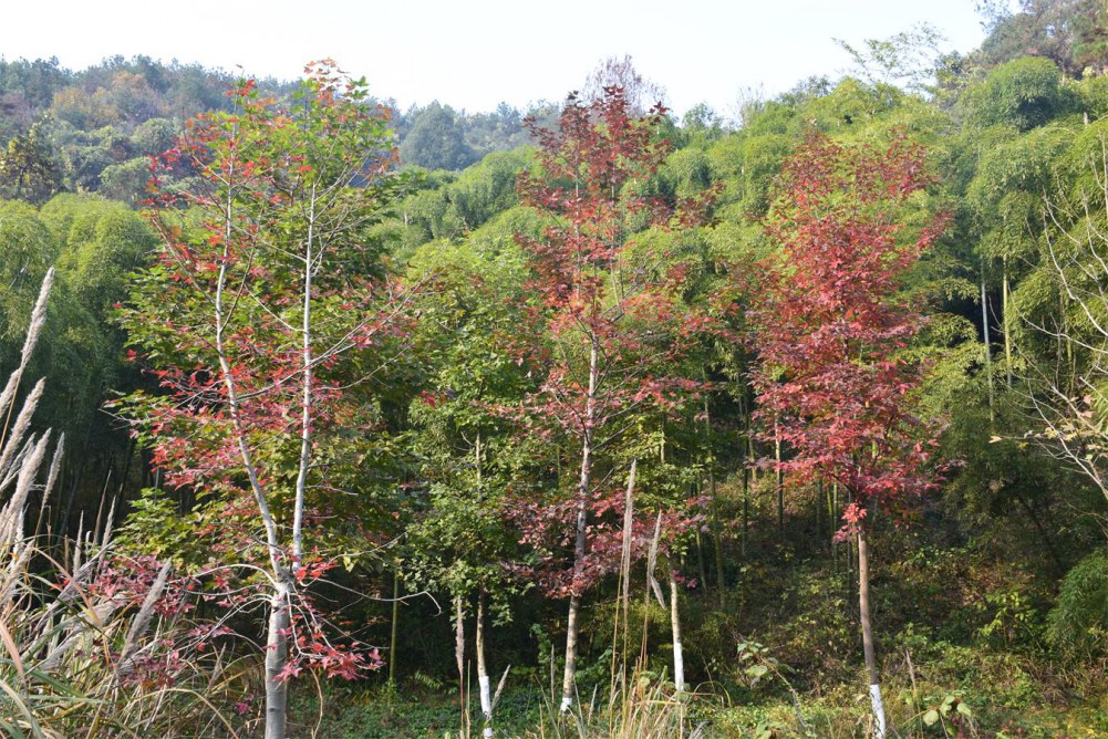 2014����ɽ 040.JPG