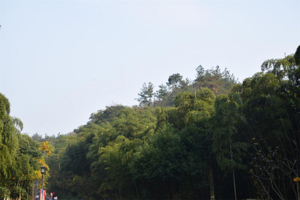 2014����ɽ 041.JPG