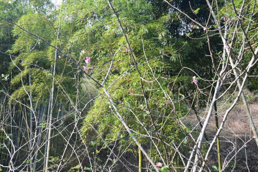 2014����ɽ 047.JPG