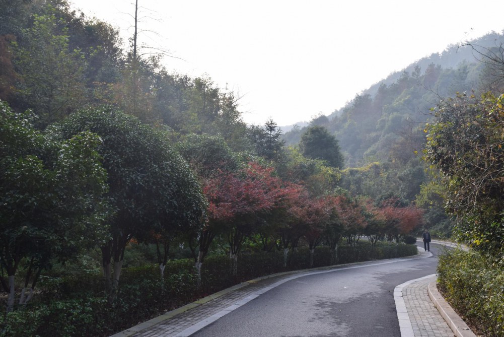 2014����ɽ 048.JPG