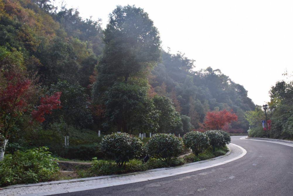 2014����ɽ 049.JPG