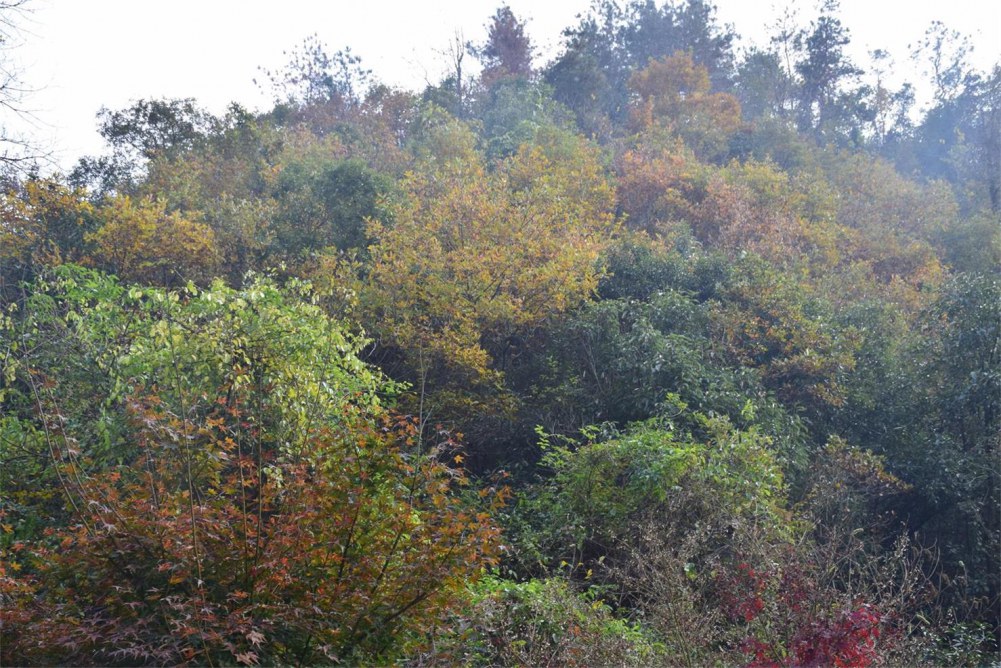 2014����ɽ 051.JPG