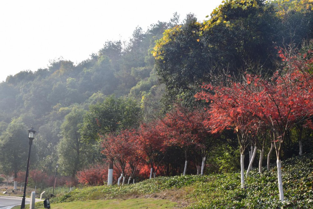 2014����ɽ 052.JPG