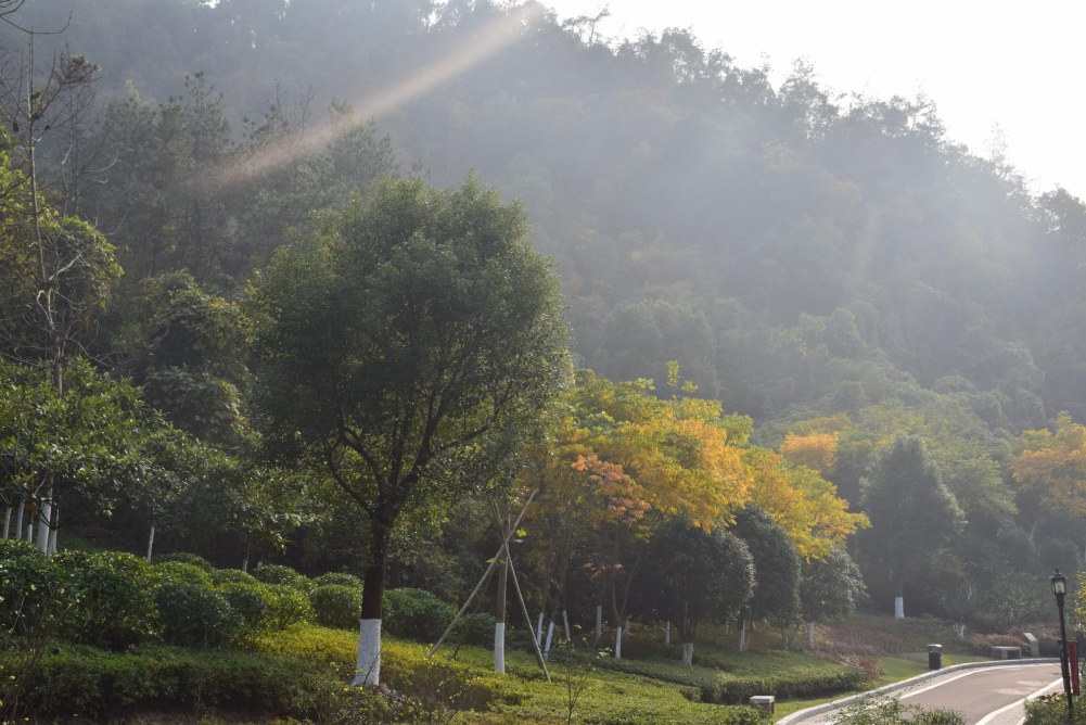 2014����ɽ 053.JPG