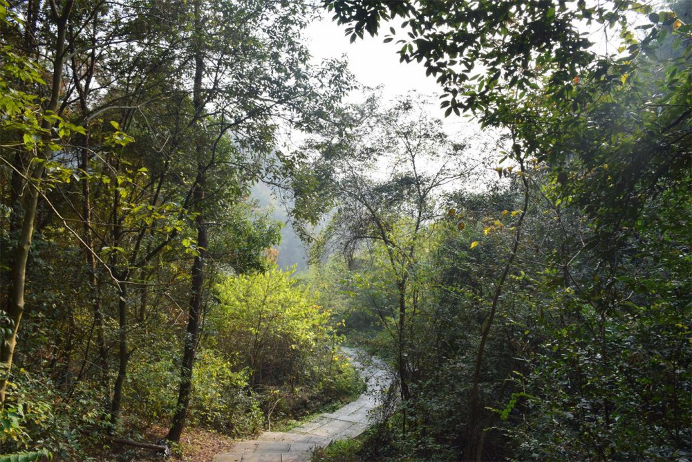 2014����ɽ 056.JPG