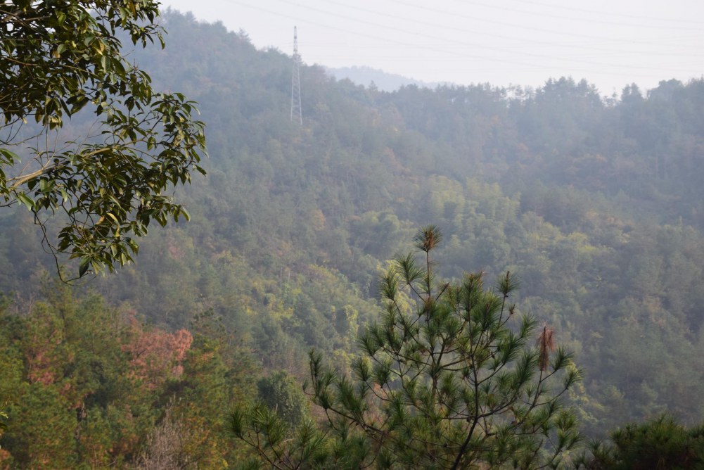 2014����ɽ 057.JPG