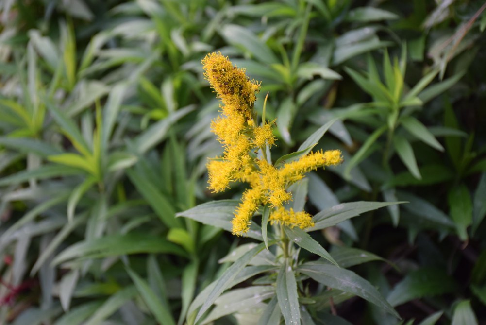 2014����ɽ 060.JPG