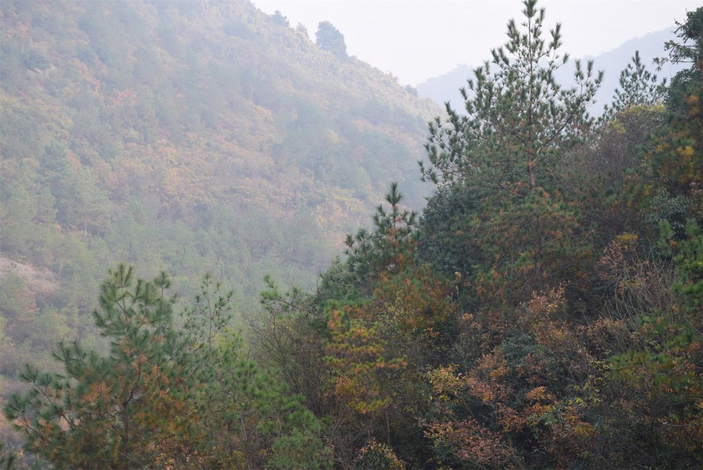 2014����ɽ 075.JPG