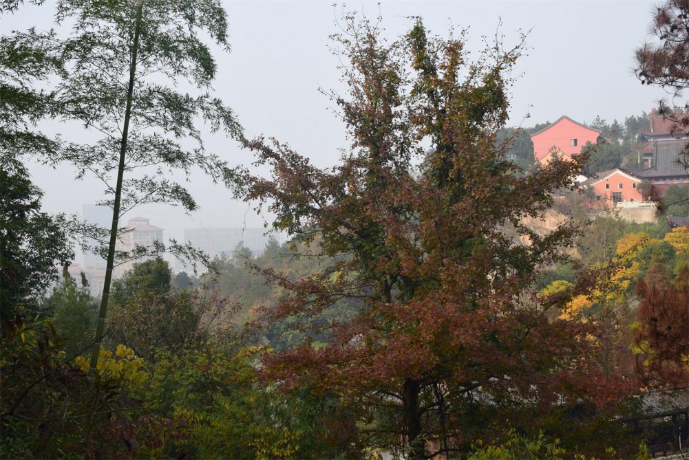 2014����ɽ 076.JPG