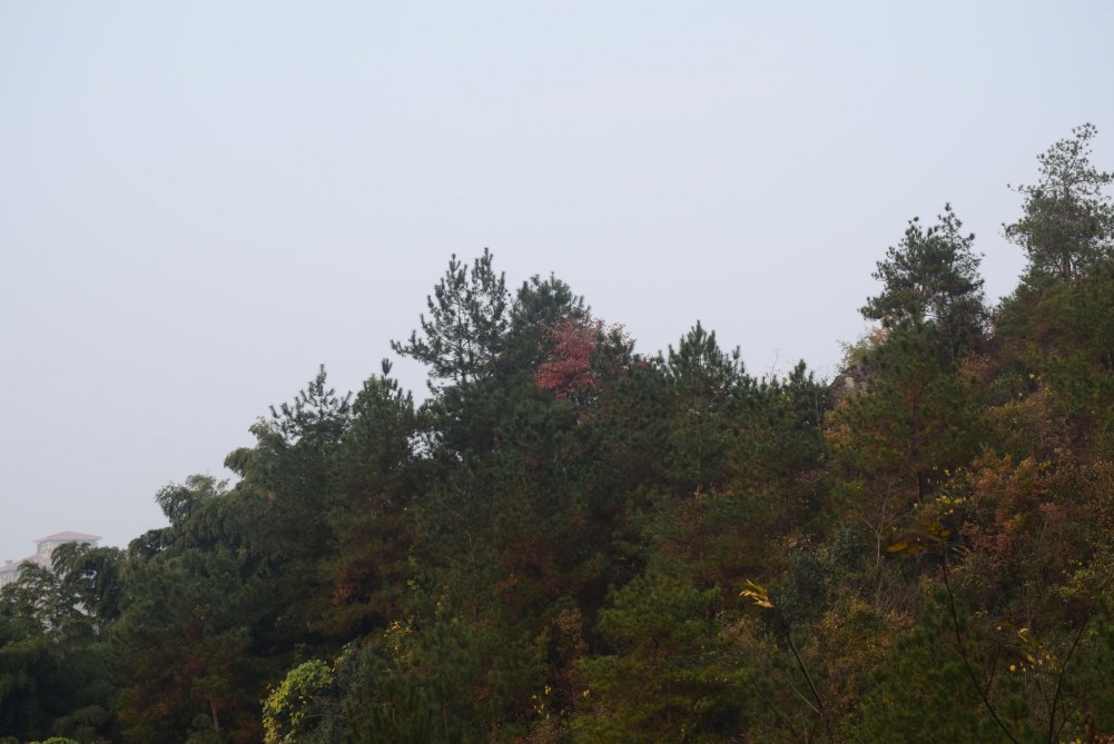 2014����ɽ 080.JPG