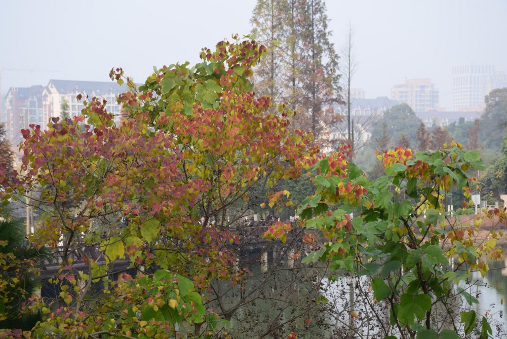 2014����ɽ 083.JPG