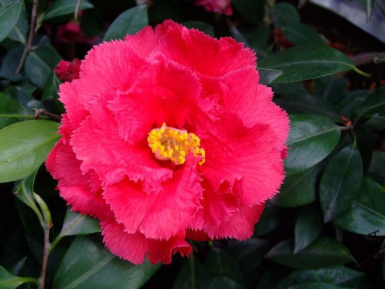 ��ʯ�� 2012-4-2f 047.jpg