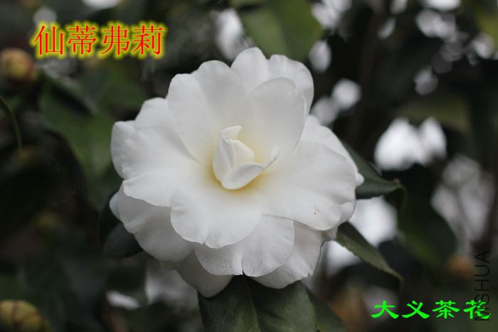 311�ɵٸ���.jpg