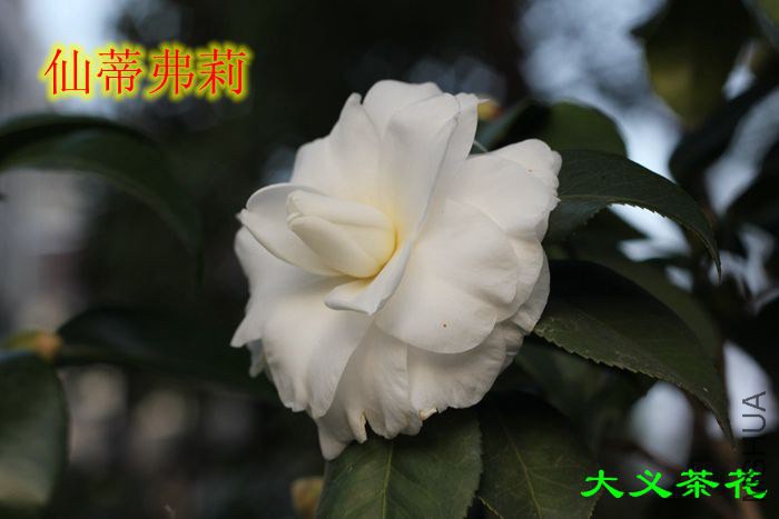 311�ɵٸ���8.jpg