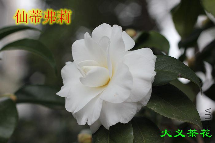311�ɵٸ���1.jpg