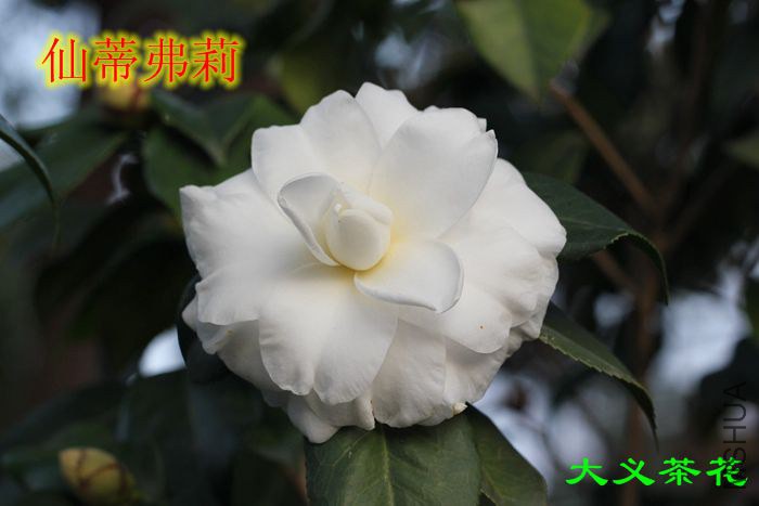 311�ɵٸ���6.jpg