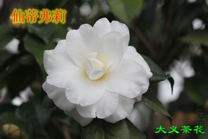 311�ɵٸ���3.jpg