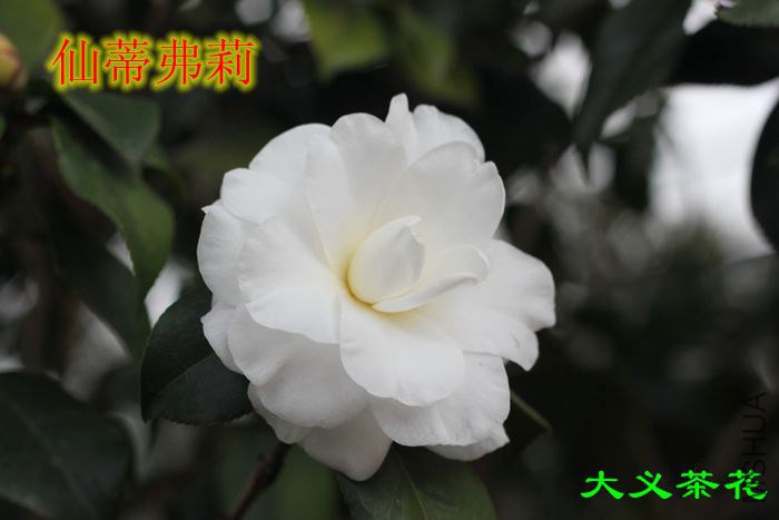 311�ɵٸ���2.jpg