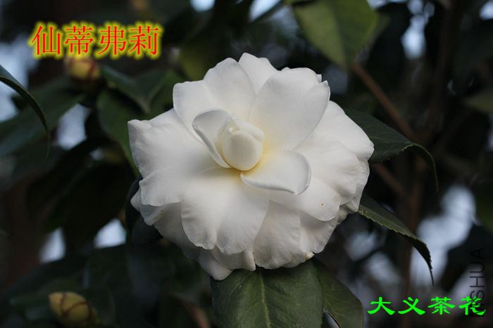 311�ɵٸ���7.jpg