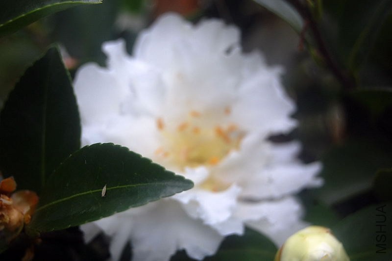 DSC_02160216.JPG