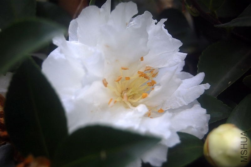 DSC_02150215.JPG