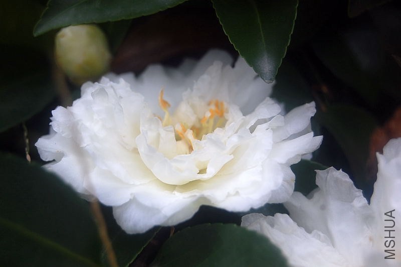DSC_02140214.JPG