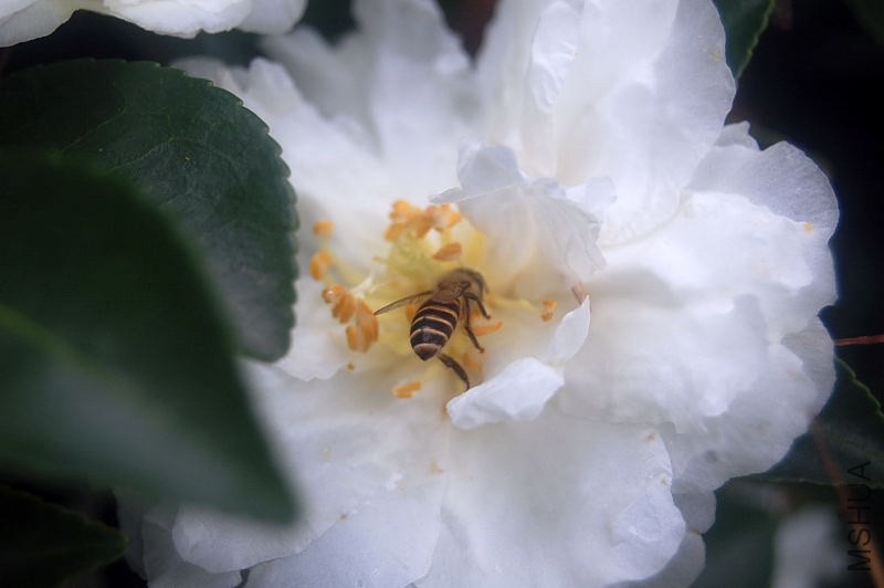 DSC_02130213.JPG