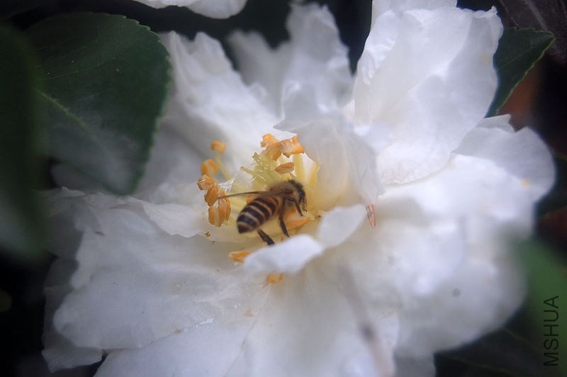 DSC_02120212.JPG