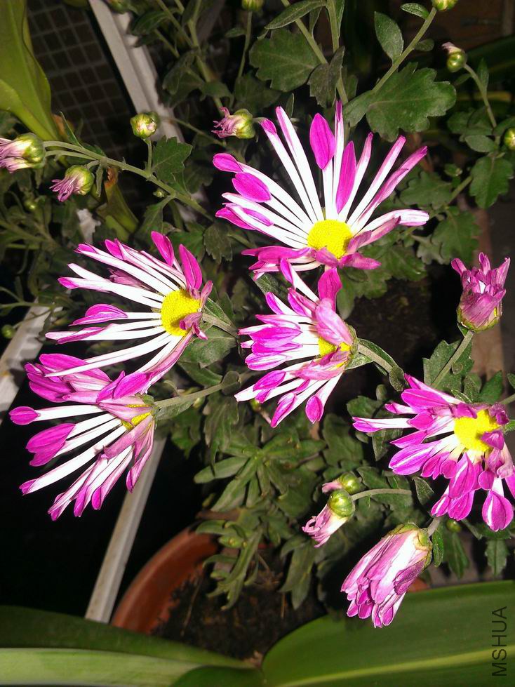 ������С WP_001624.jpg