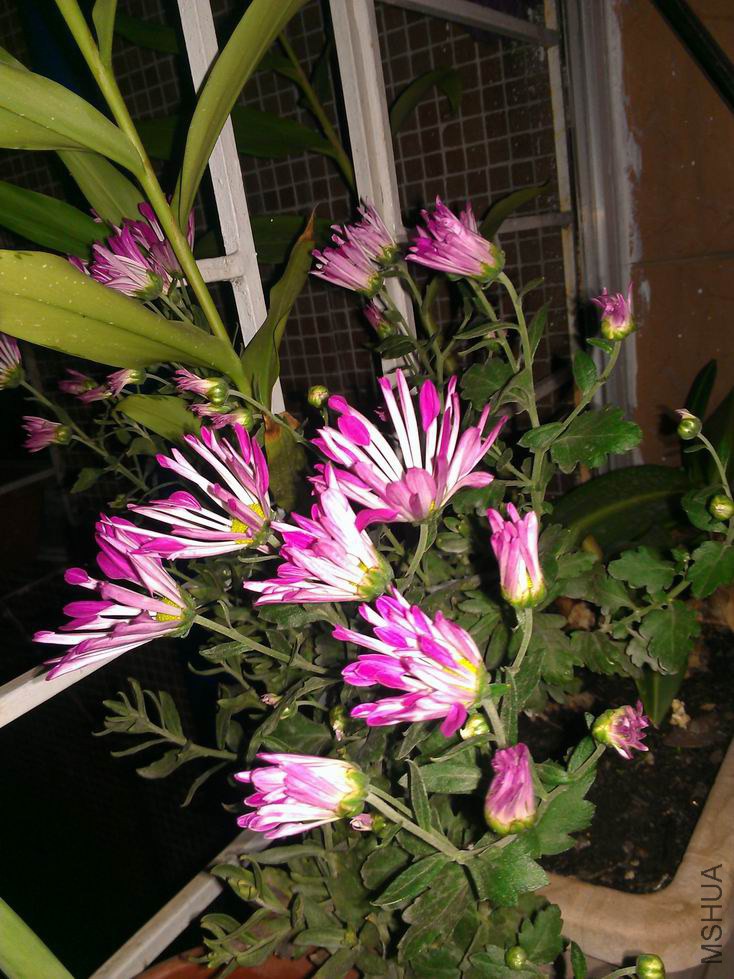 ������С WP_001625.jpg