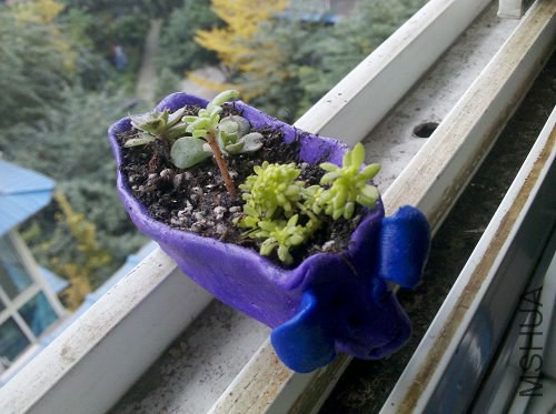 2014-11-24_11-48-15_200.jpg