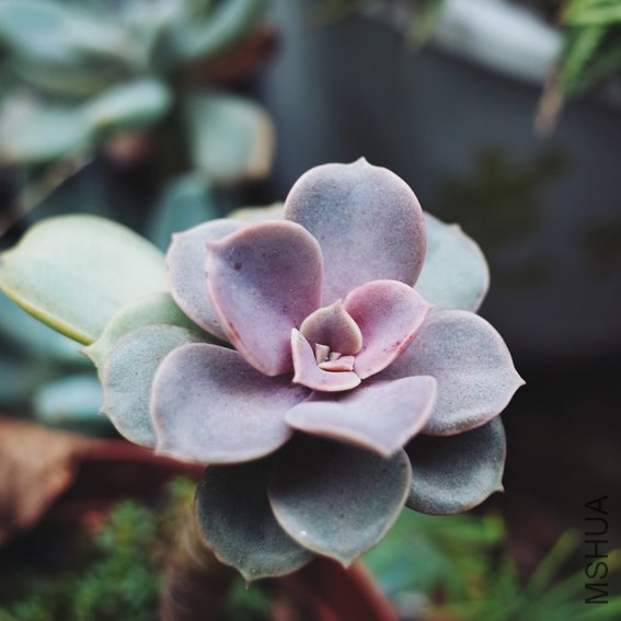 2014-11-21 130702.jpg