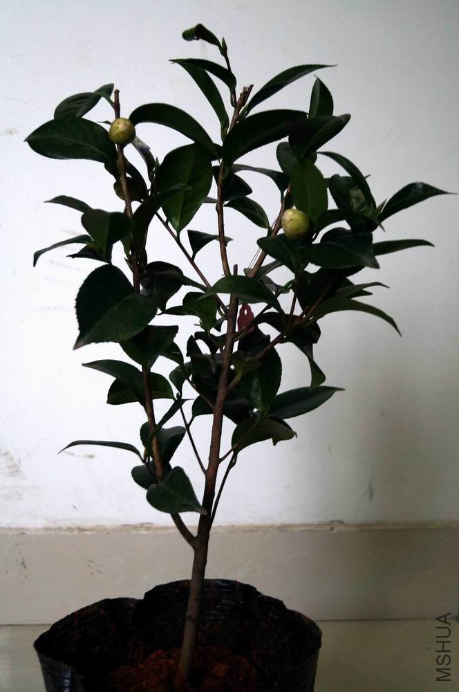 ������С �����ع� ��ת DSC04189.JPG