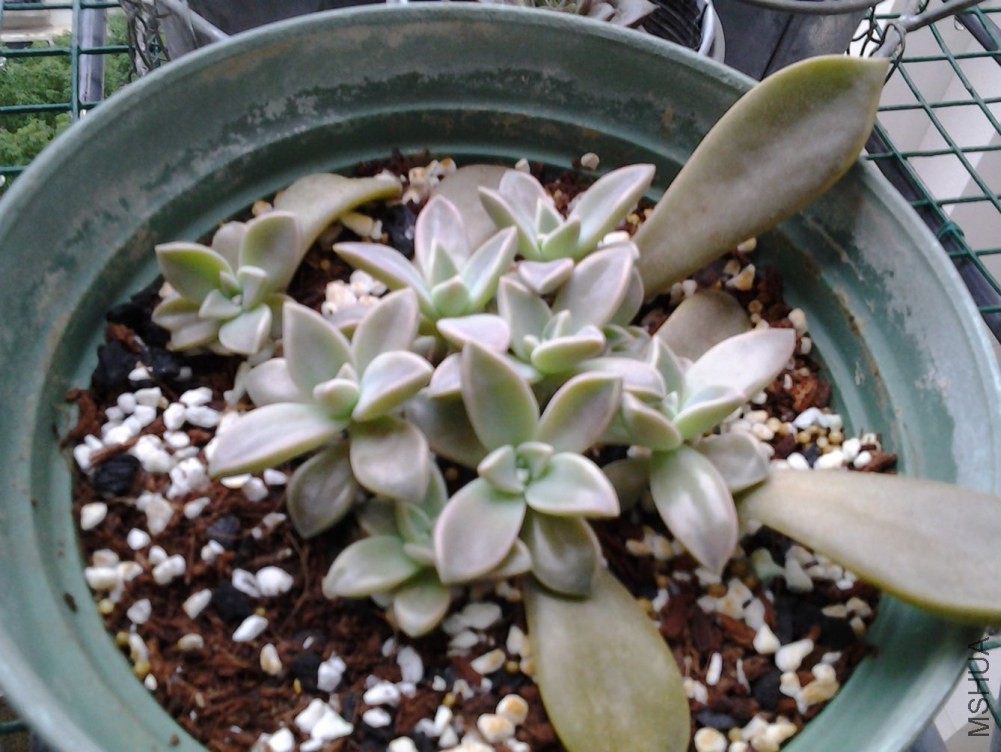 20131102_104638_����.jpg