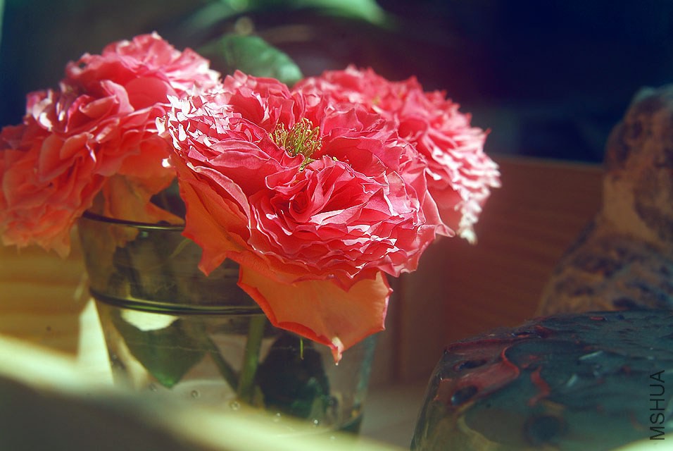 DSCF0710.jpg