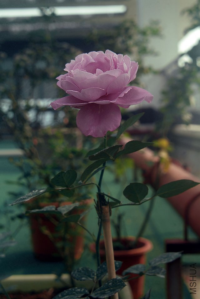 DSCF0792.jpg